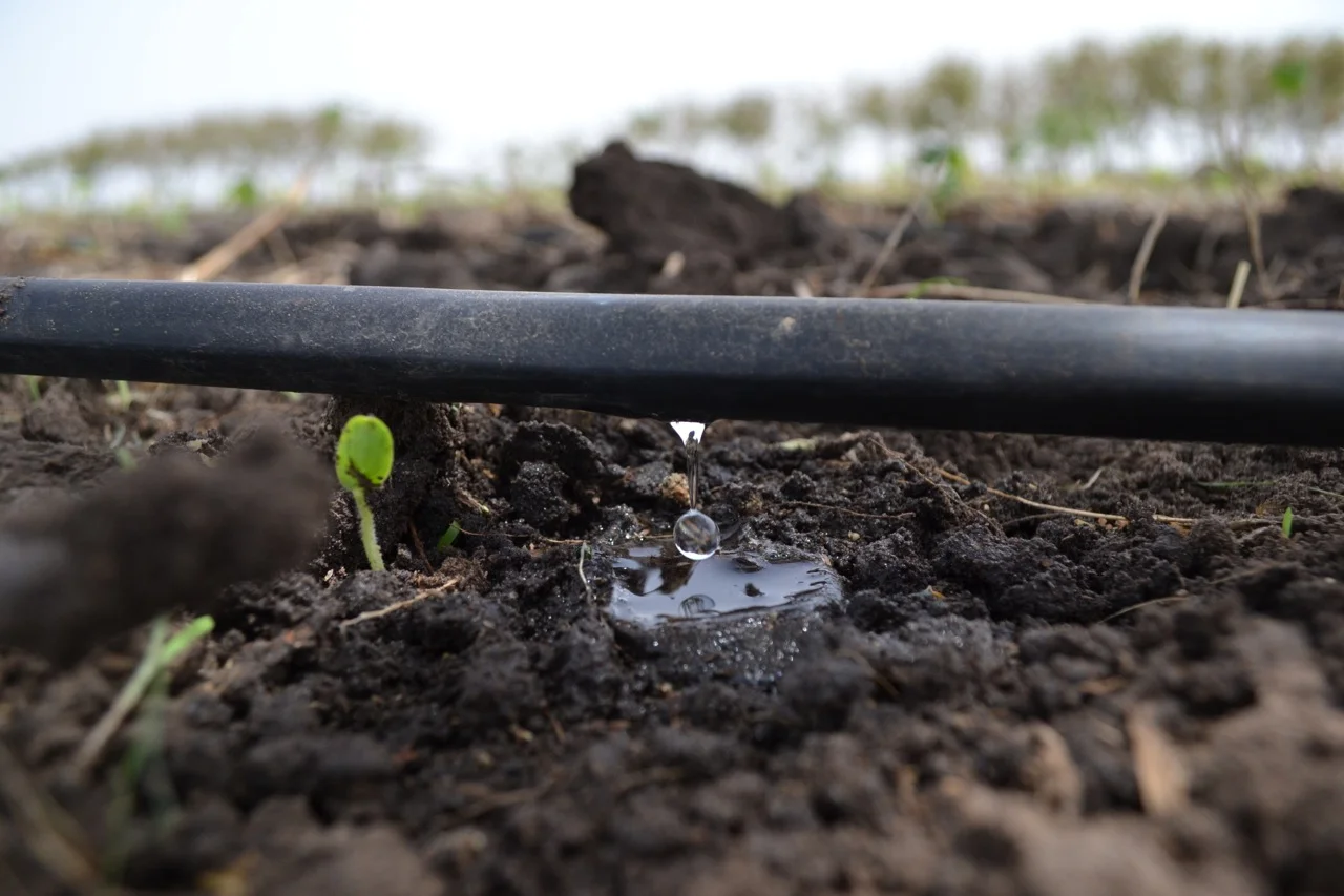 Ley de Riego Tecnificado impulsara agro eficiente en Peru