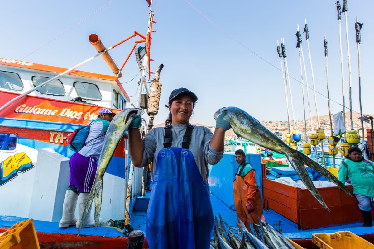 Apoyo economico a pescadores y acuicultores hasta noviembre